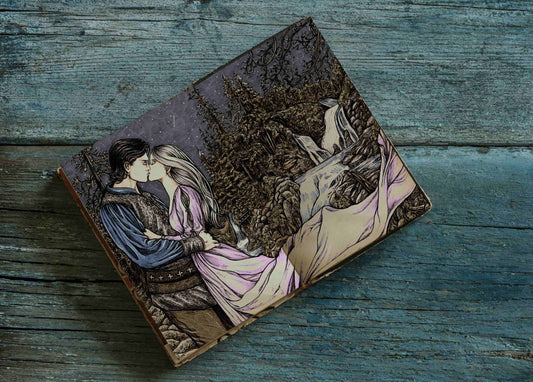 Reign of Cinders and Glass: Special Edition